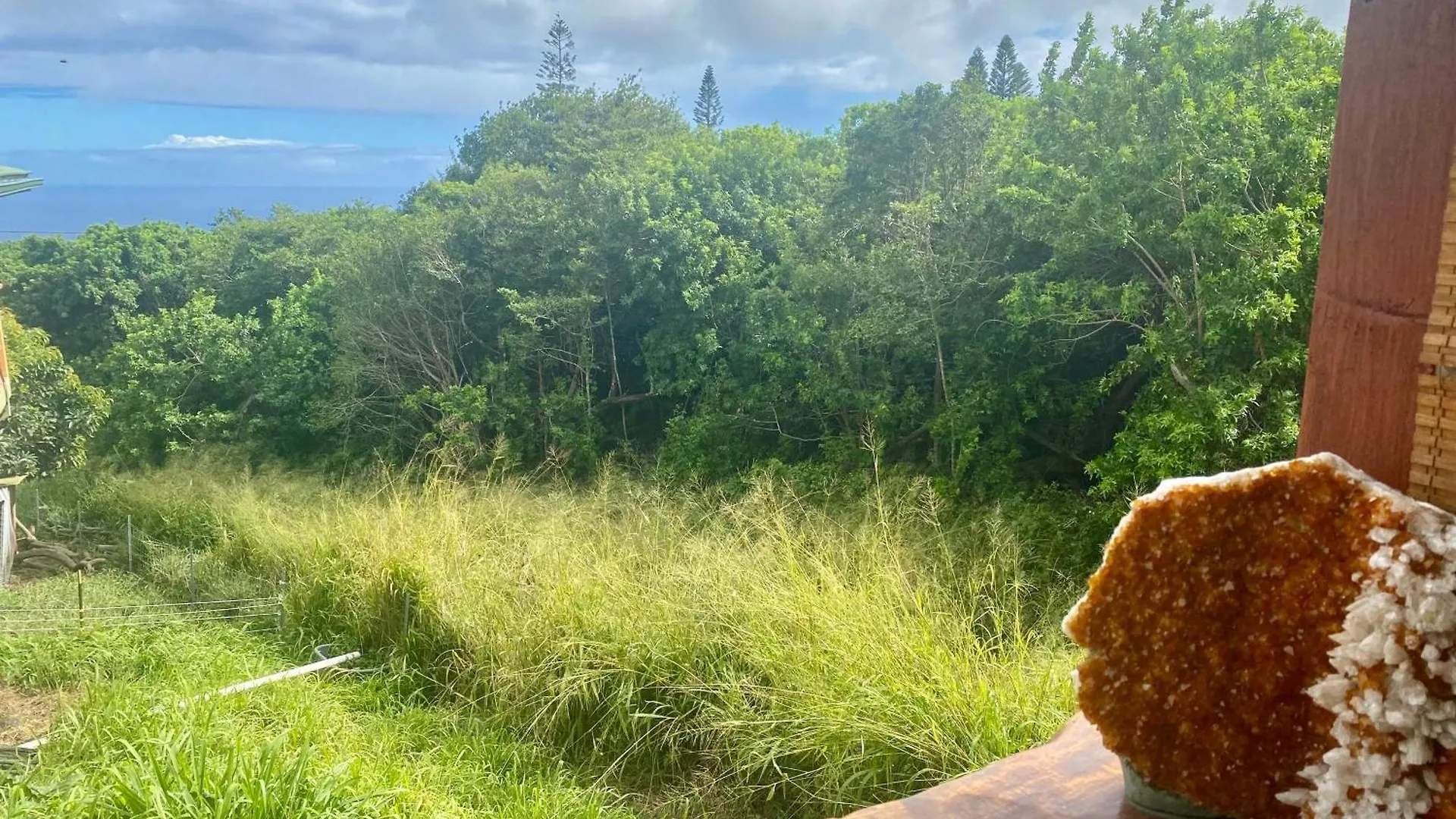 Artsy Cabin On Organic Farm Naalehu