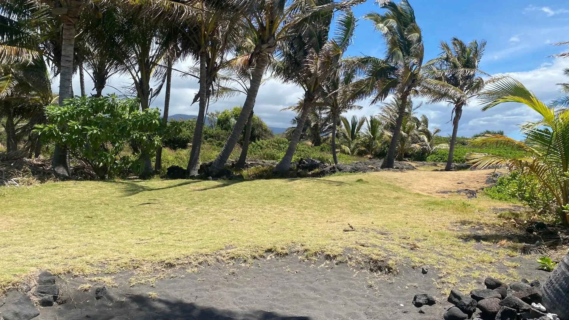 Bed & Breakfast Artsy Cabin On Organic Farm Naalehu
